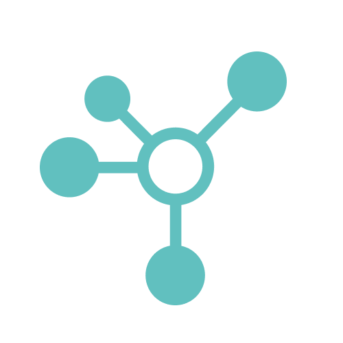 suleimanov favicon